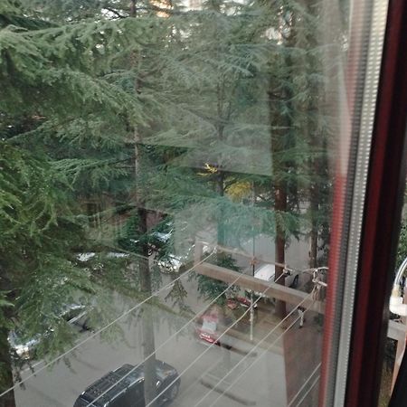 Appartement Zvezda à Batoumi Extérieur photo
